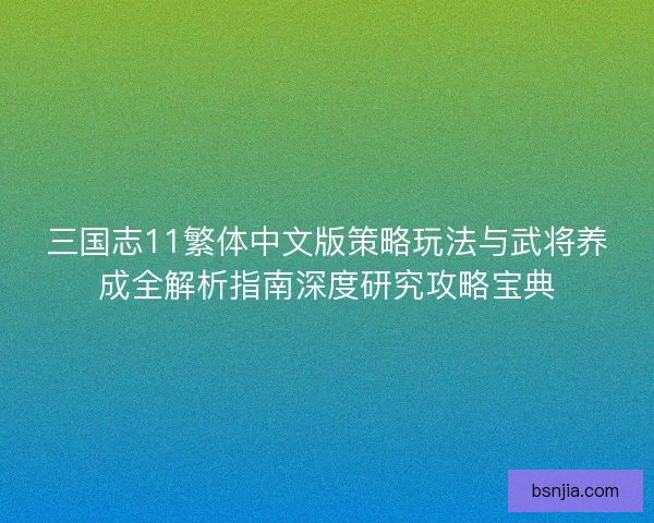 三国志11繁体中文版策略玩法与武将养成全解析指南深度研究攻略宝典 三国志11繁体中文版策略玩法与武将养成全解析指南深度研究攻略宝典